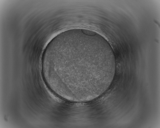 X0000091481523200709131802