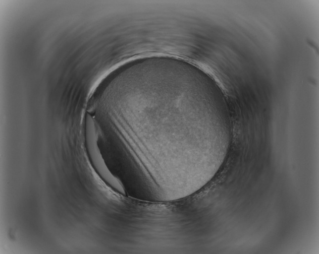 X0000091481524200709131802