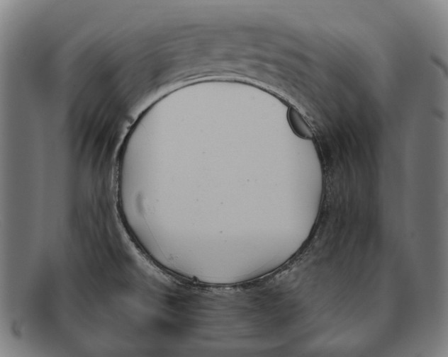 X0000091481526200709131802