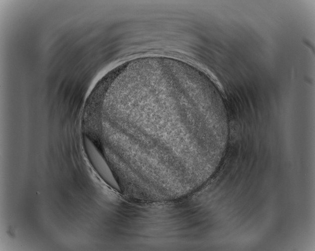 X0000091481530200709131802