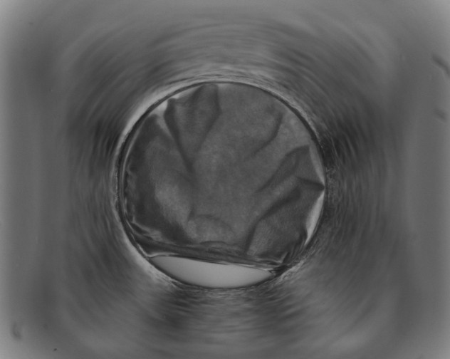 X0000091481531200709131802