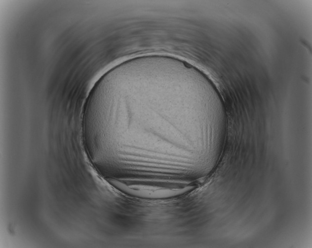 X0000091481534200709131802