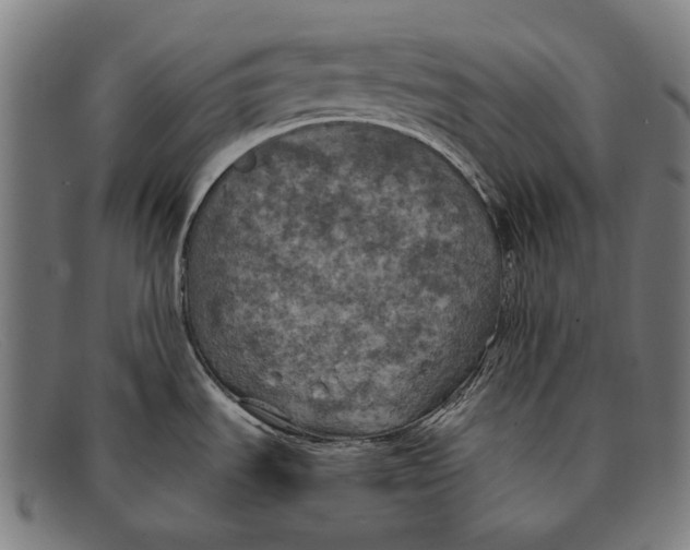 X0000091481535200709131802