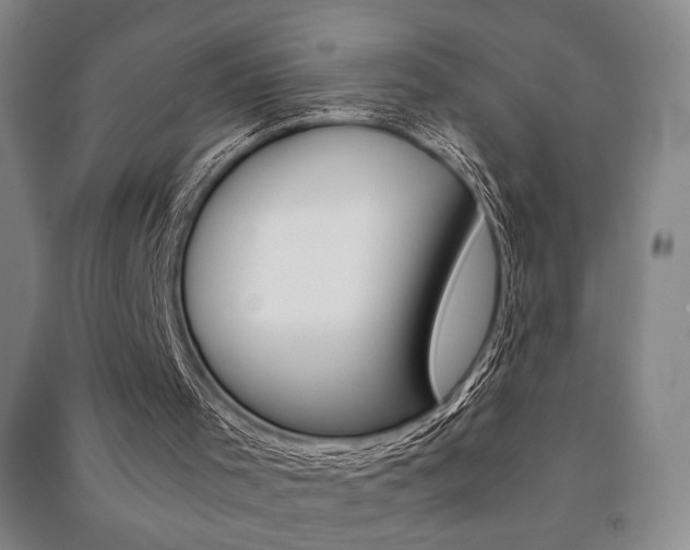 X0000091490001200708161220