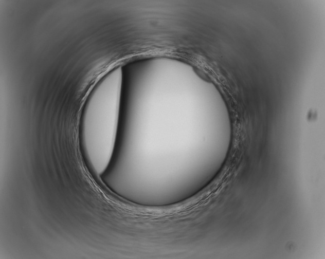 X0000091490002200708161220