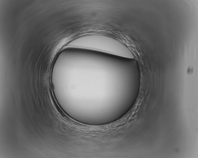X0000091490003200708161220