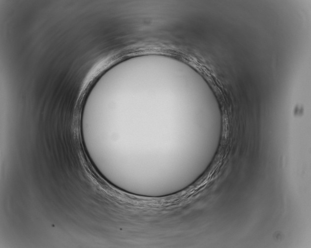 X0000091490004200708161220