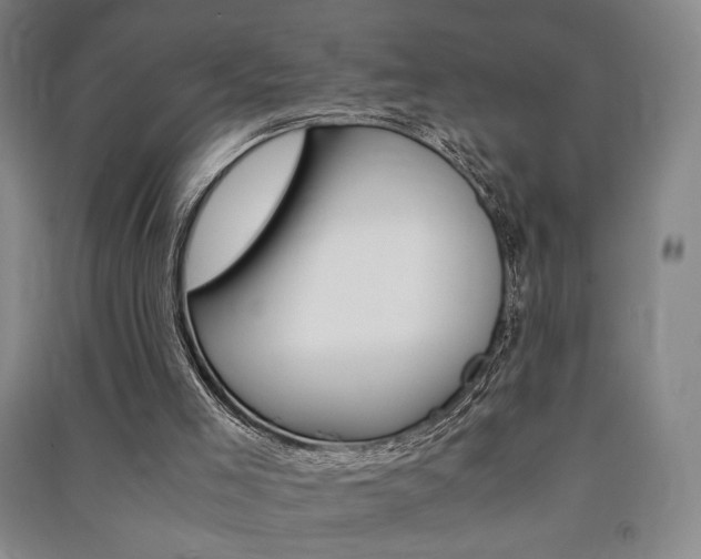X0000091490005200708161220