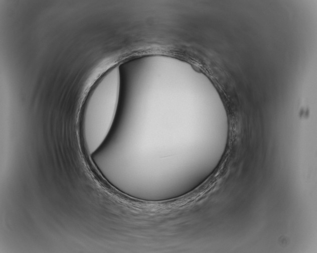 X0000091490006200708161220