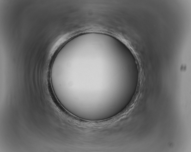 X0000091490007200708161220