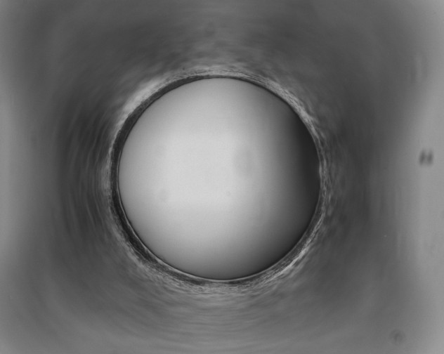 X0000091490008200708161220