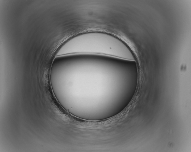 X0000091490009200708161220