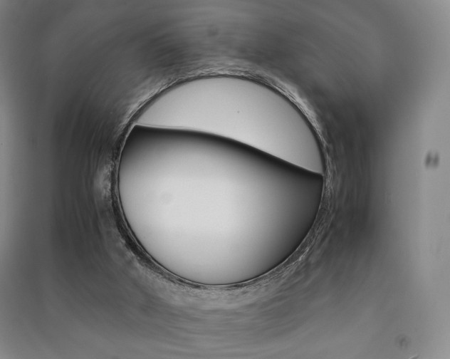 X0000091490010200708161220