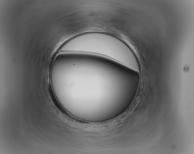 X0000091490011200708161220