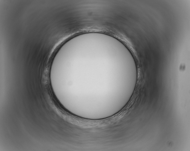 X0000091490012200708161220