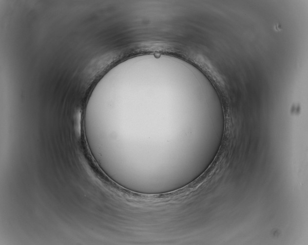 X0000091490014200708161220