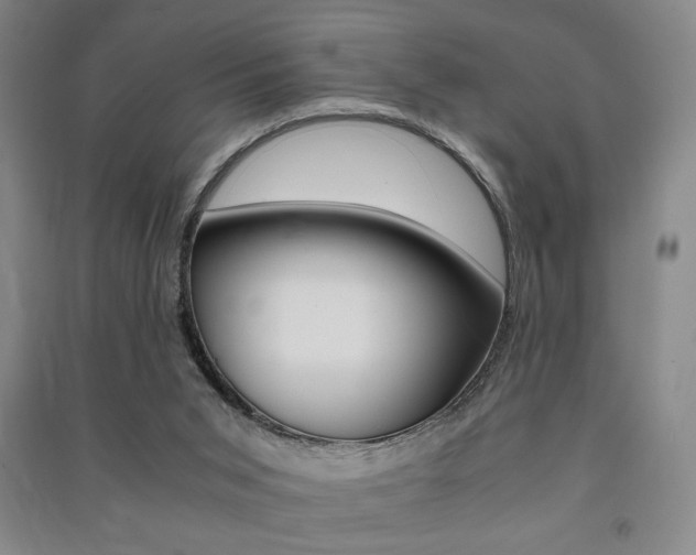X0000091490015200708161220