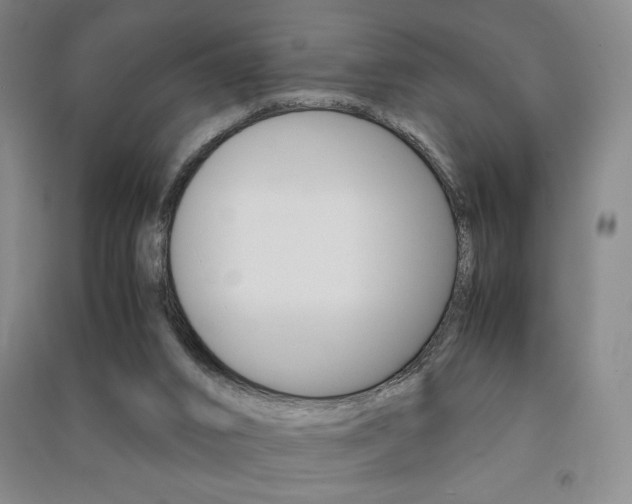 X0000091490016200708161220