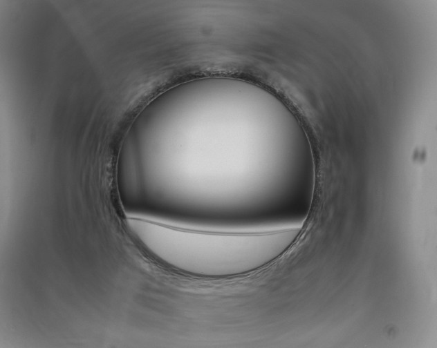 X0000091490017200708161220
