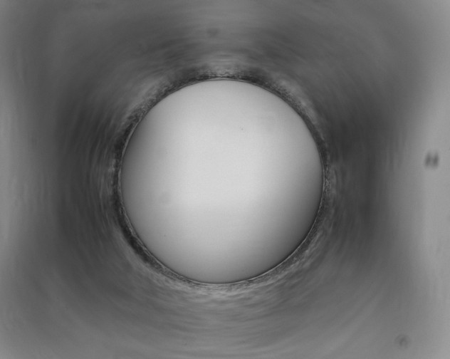 X0000091490018200708161220