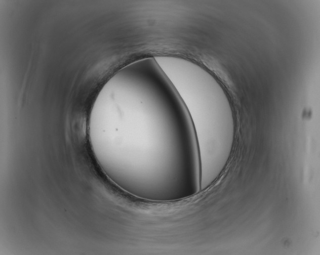 X0000091490021200708161220