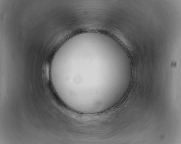 X0000091490022200708161220