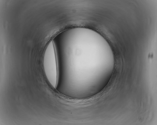 X0000091490023200708161220