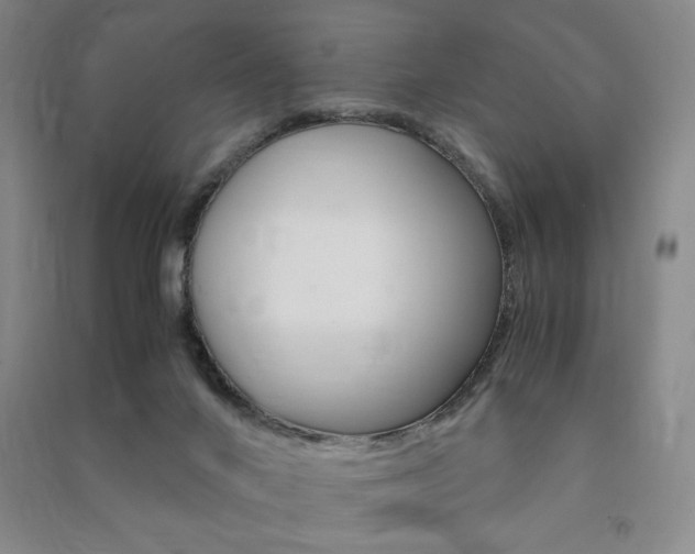 X0000091490024200708161220