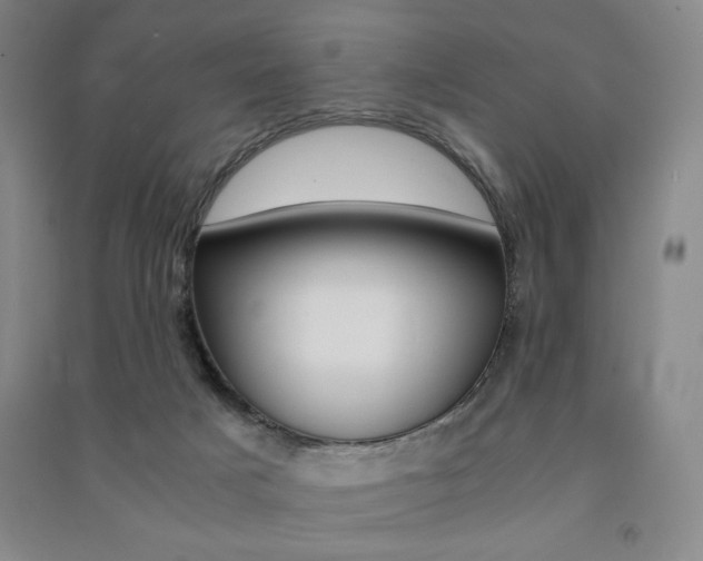 X0000091490025200708161220