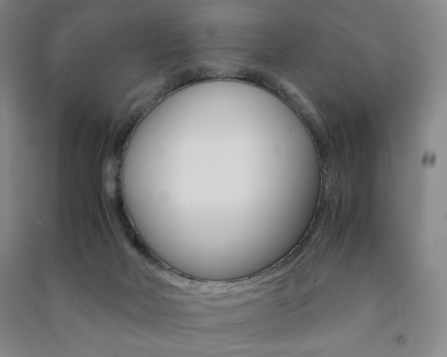 X0000091490026200708161220