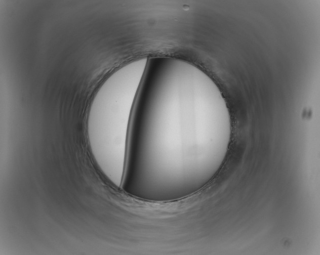 X0000091490027200708161220