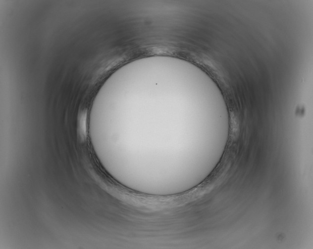 X0000091490028200708161220