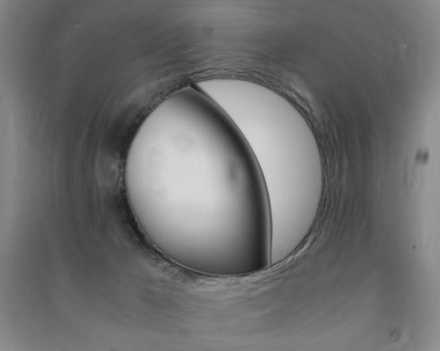 X0000091490029200708161220
