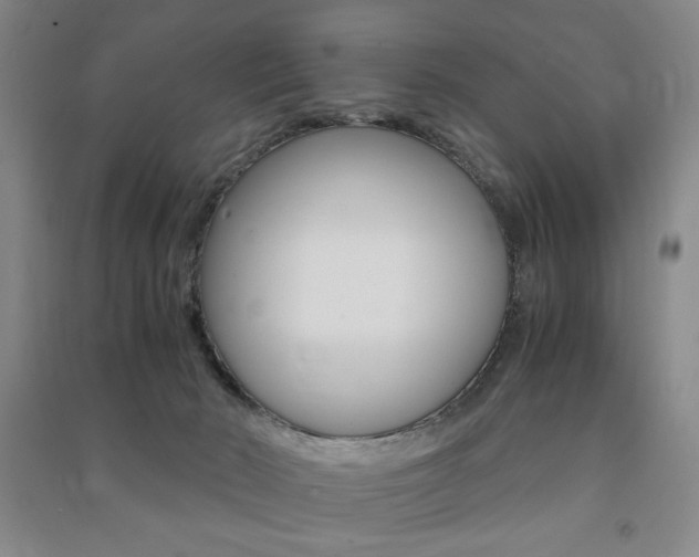 X0000091490030200708161220