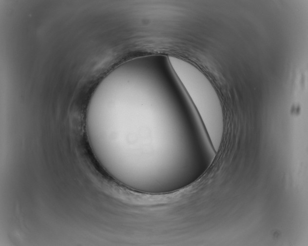 X0000091490031200708161220