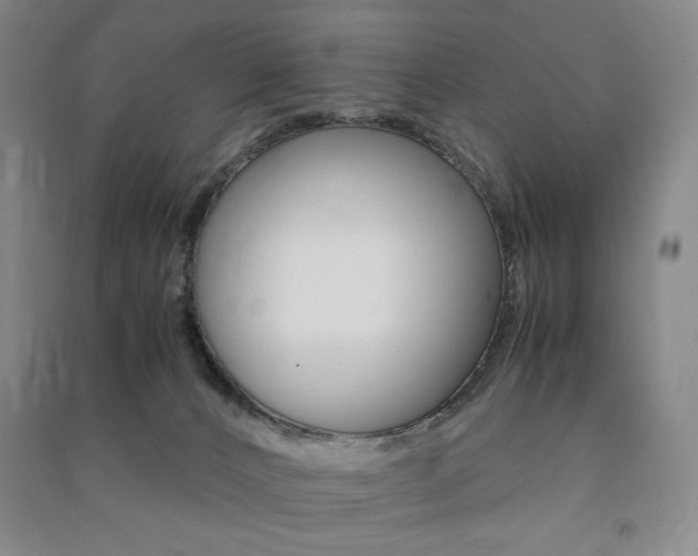 X0000091490032200708161220