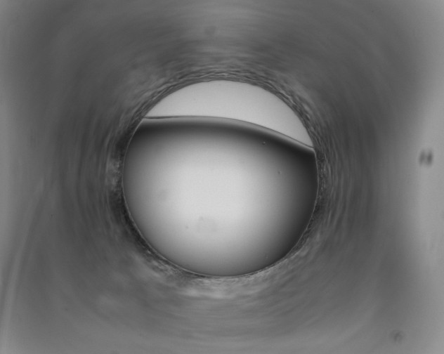 X0000091490033200708161219