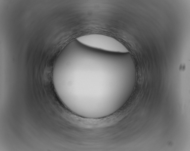 X0000091490034200708161219
