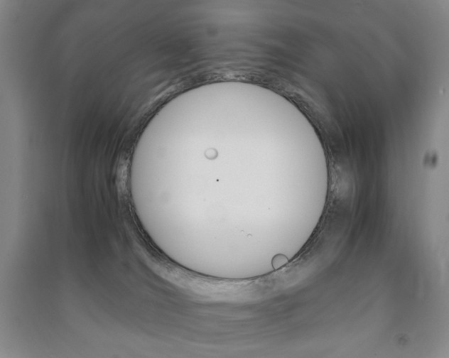 X0000091490036200708161219