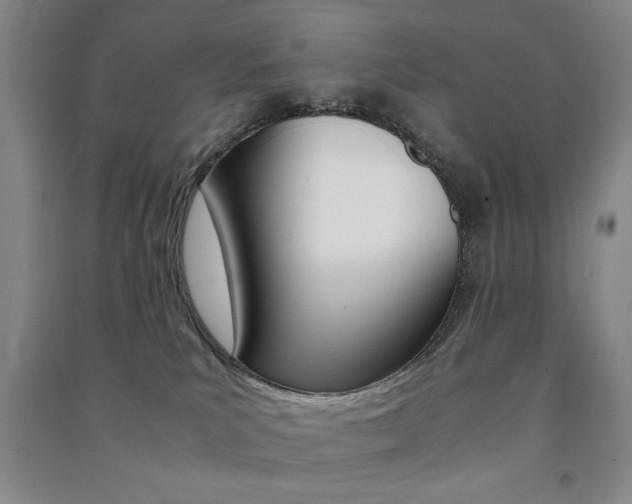 X0000091490039200708161219