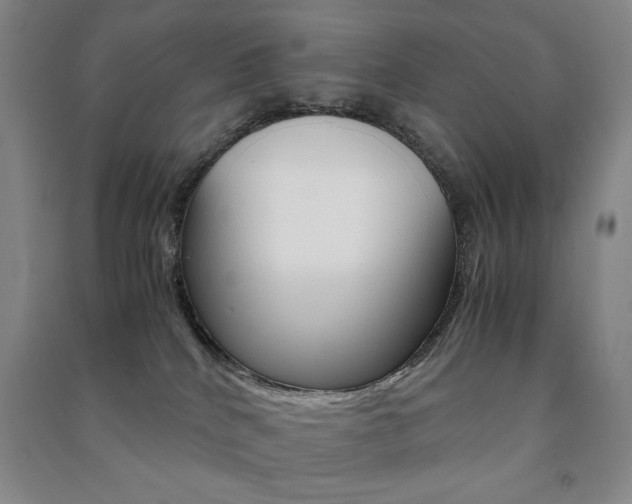 X0000091490040200708161219