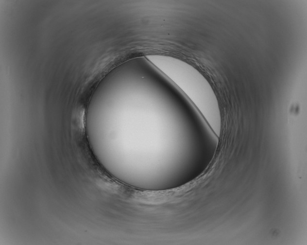 X0000091490041200708161219