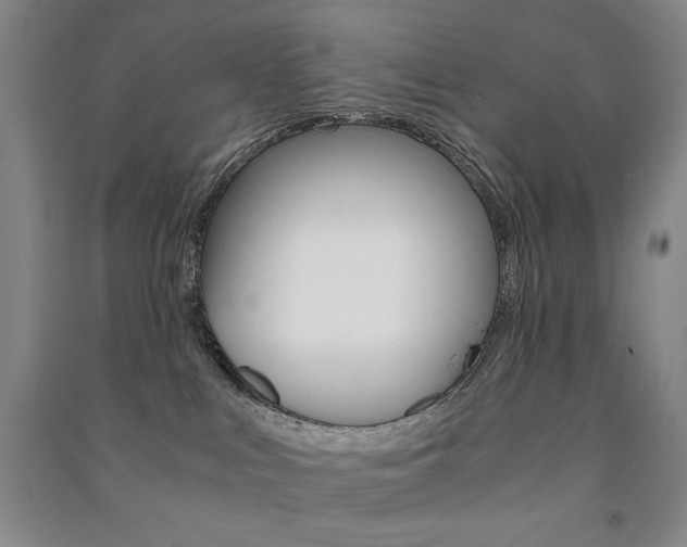 X0000091490043200708161219