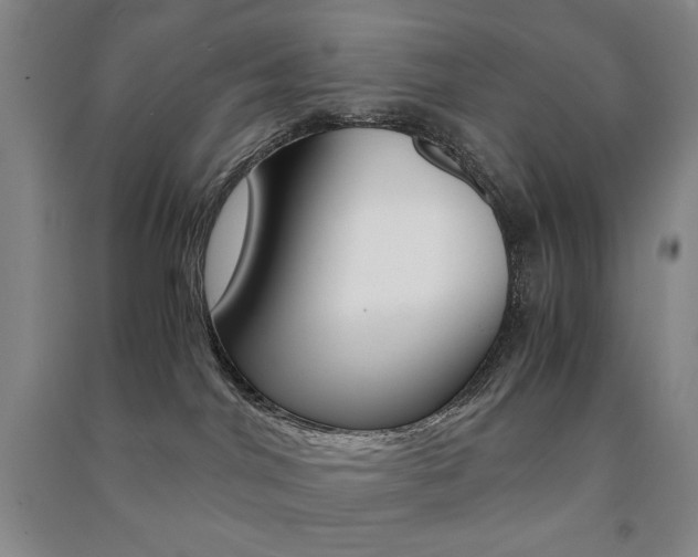 X0000091490044200708161219