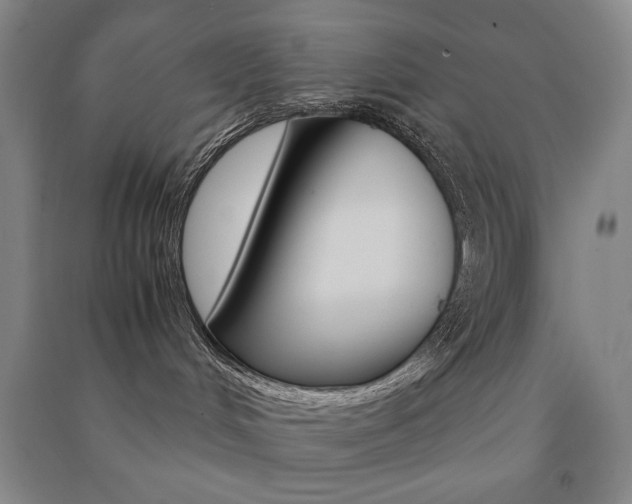 X0000091490048200708161219