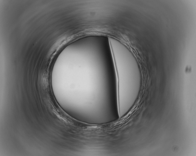 X0000091490050200708161219