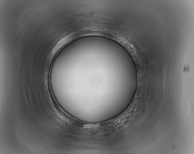 X0000091490051200708161219