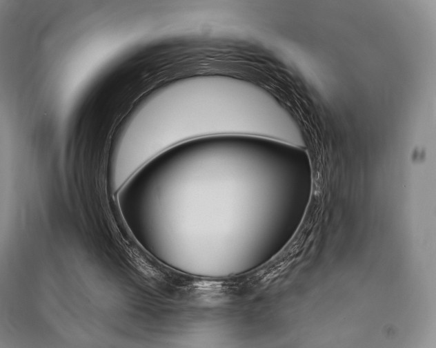 X0000091490052200708161219