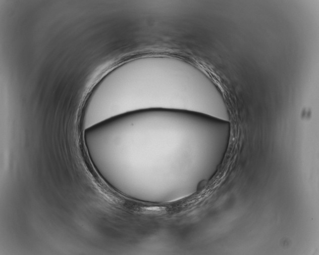 X0000091490053200708161219