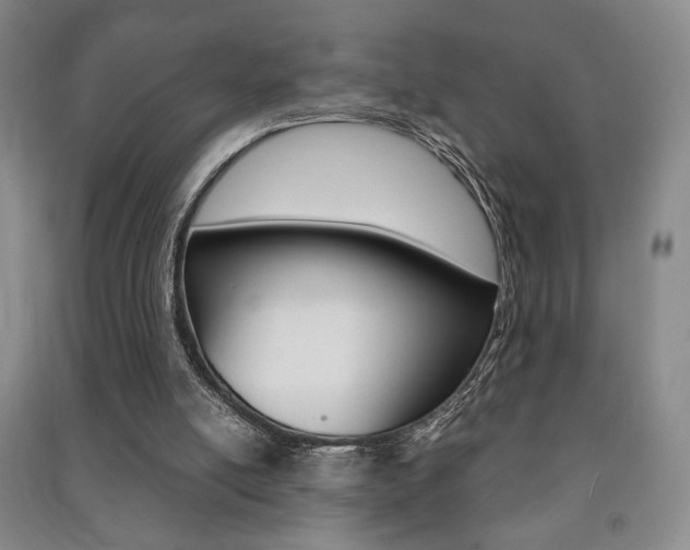 X0000091490054200708161219